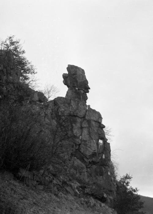 Landessammlungen Niederösterreich