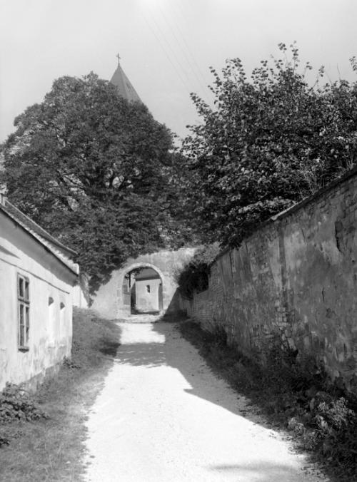 Landessammlungen Niederösterreich