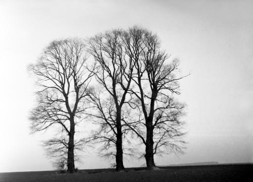 Landessammlungen Niederösterreich