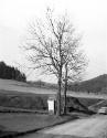 Landessammlungen Niederösterreich