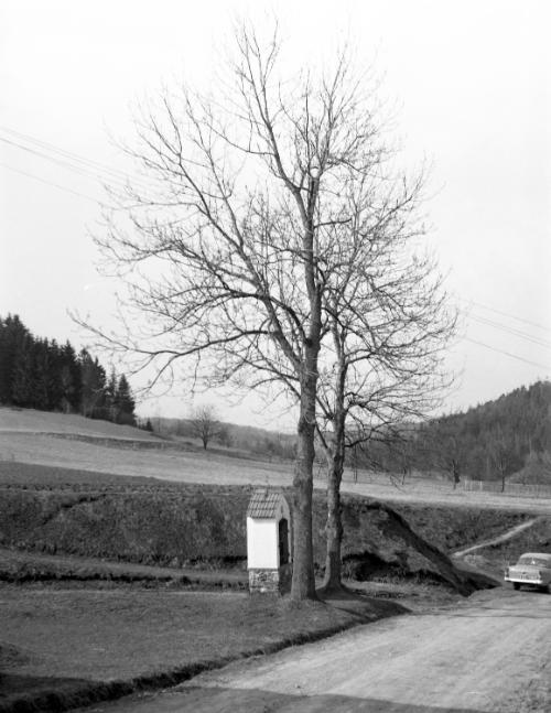 Landessammlungen Niederösterreich