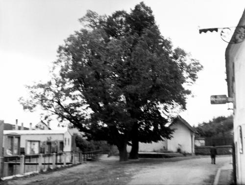 Landessammlungen Niederösterreich