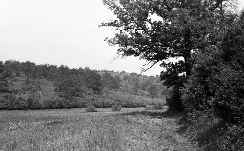 Landessammlungen Niederösterreich