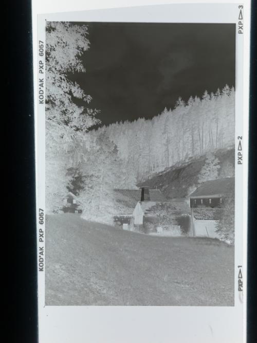Landessammlungen Niederösterreich