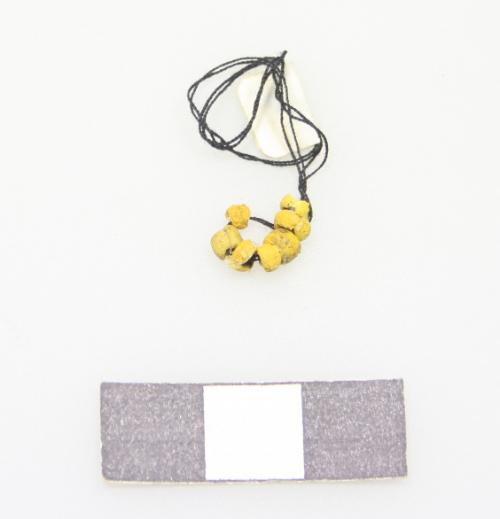 Landessammlungen Niederösterreich