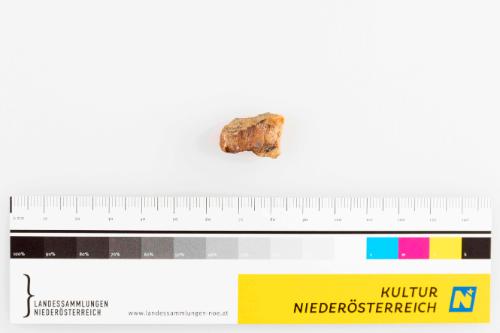 Landessammlungen Niederösterreich