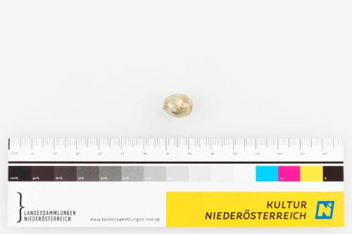 Landessammlungen Niederösterreich