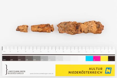 Landessammlungen Niederösterreich