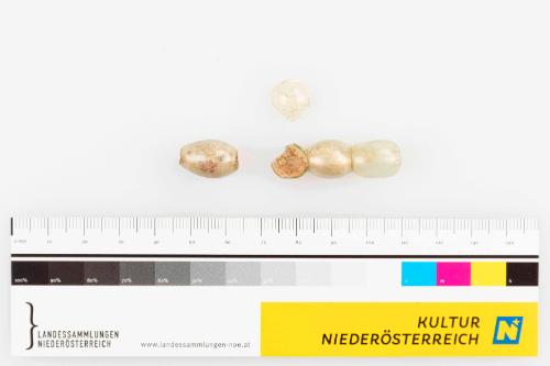 Landessammlungen Niederösterreich