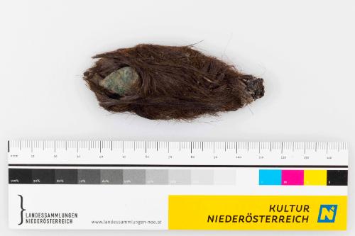 Landessammlungen Niederösterreich