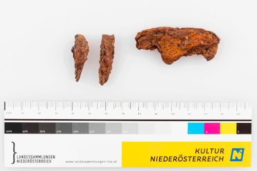 Landessammlungen Niederösterreich