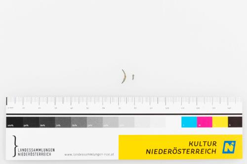 © Landessammlungen Niederösterreich