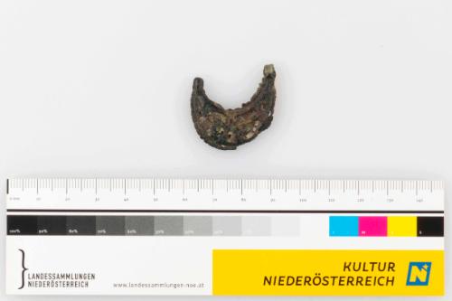 Landessammlungen Niederösterreich