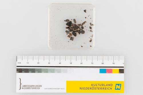 © Landessammlungen Niederösterreich