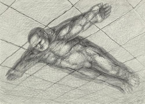 Landessammlungen NÖ