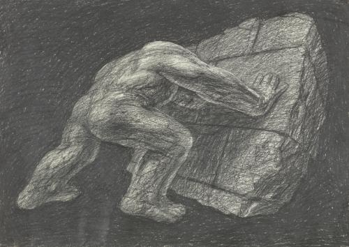 Landessammlungen NÖ