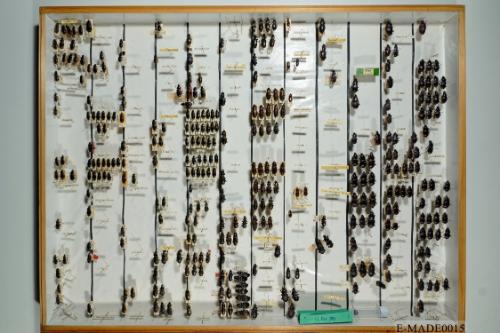 © Landessammlungen NÖ, Foto: Johann Nesweda