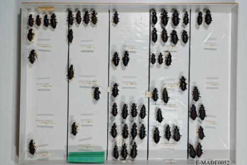 © Landessammlungen NÖ, Foto: Johann Nesweda