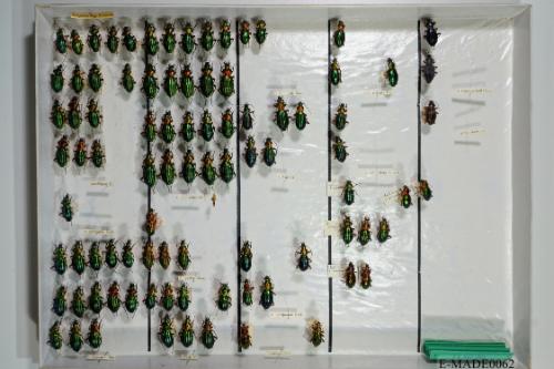 © Landessammlungen NÖ, Foto: Johann Nesweda