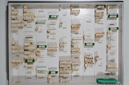 © Landessammlungen NÖ, Foto: Johann Nesweda