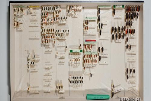 © Landessammlungen NÖ, Foto: Johann Nesweda