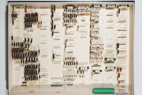 © Landessammlungen NÖ, Foto: Johann Nesweda