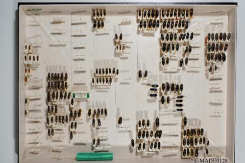 © Landessammlungen NÖ, Foto: Johann Nesweda