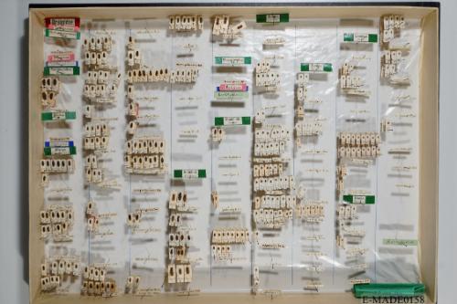 © Landessammlungen NÖ, Foto: Johann Nesweda