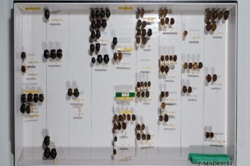 © Landessammlungen NÖ, Foto: Johann Nesweda