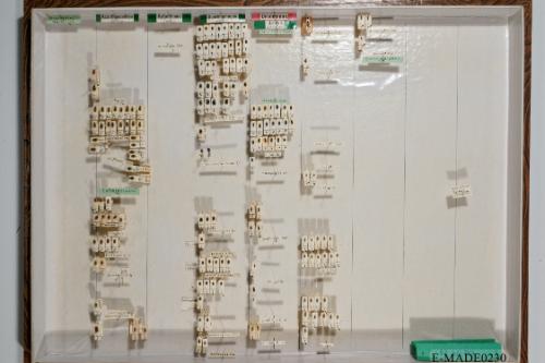 © Landessammlungen NÖ, Foto: Johann Nesweda