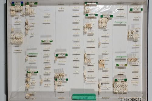 © Landessammlungen NÖ, Foto: Johann Nesweda