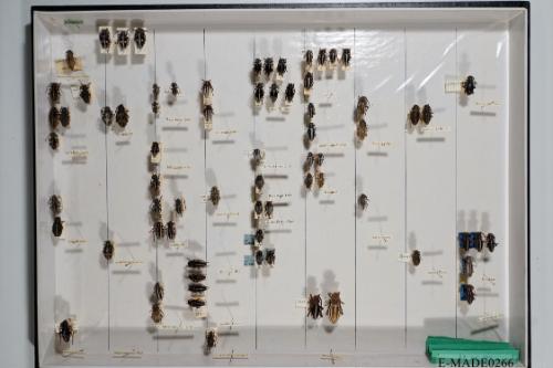 © Landessammlungen NÖ, Foto: Johann Nesweda