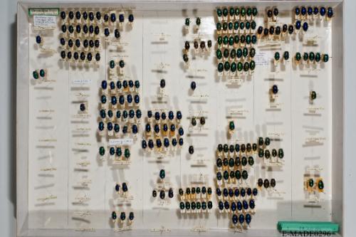 © Landessammlungen NÖ, Foto: Johann Nesweda