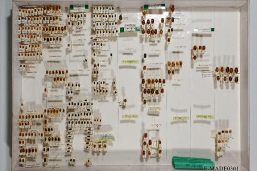 © Landessammlungen NÖ, Foto: Johann Nesweda