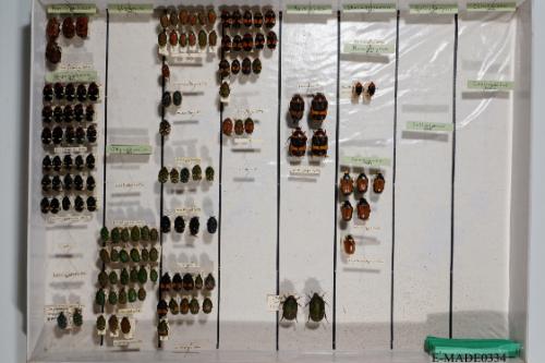 © Landessammlungen NÖ, Foto: Johann Nesweda