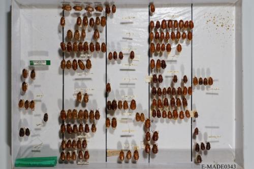 © Landessammlungen NÖ, Foto: Johann Nesweda