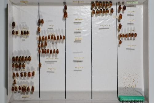 © Landessammlungen NÖ, Foto: Johann Nesweda