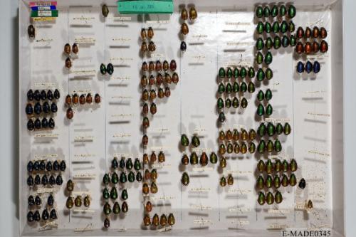 © Landessammlungen NÖ, Foto: Johann Nesweda