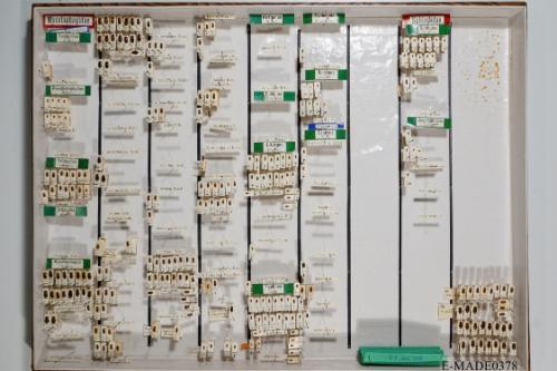 © Landessammlungen NÖ, Foto: Johann Nesweda