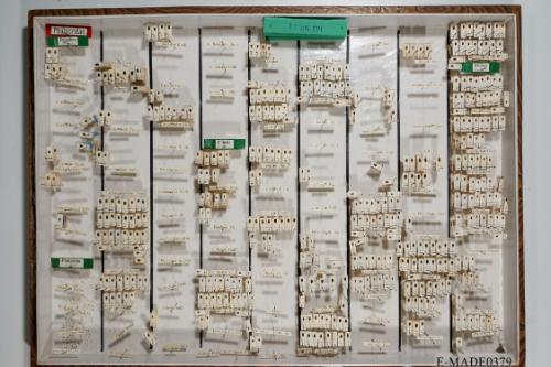 © Landessammlungen NÖ, Foto: Johann Nesweda