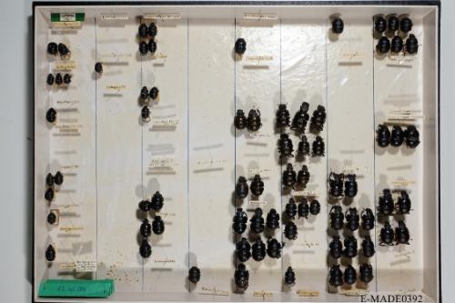 © Landessammlungen NÖ, Foto: Johann Nesweda