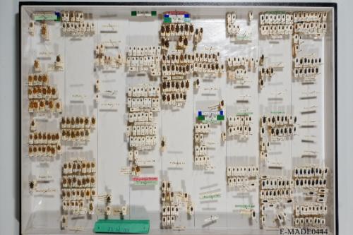 © Landessammlungen NÖ, Foto: Johann Nesweda