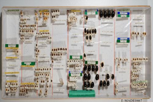 © Landessammlungen NÖ, Foto: Johann Nesweda