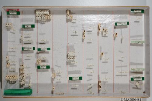 © Landessammlungen NÖ, Foto: Johann Nesweda