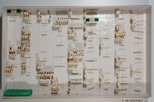 © Landessammlungen NÖ, Foto: Johann Nesweda