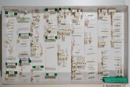 © Landessammlungen NÖ, Foto: Johann Nesweda