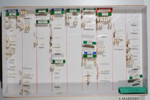 © Landessammlungen NÖ, Foto: Johann Nesweda