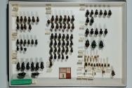 Insektenlade