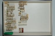 Insektenlade