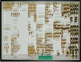Insektenlade
